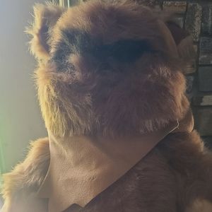 1983 Kenner Star Wars ROTJ  Wicket The Ewok Plush with Hood